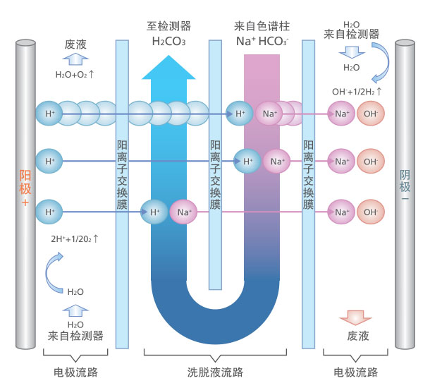 HIC-ESP离子色谱仪(图1)