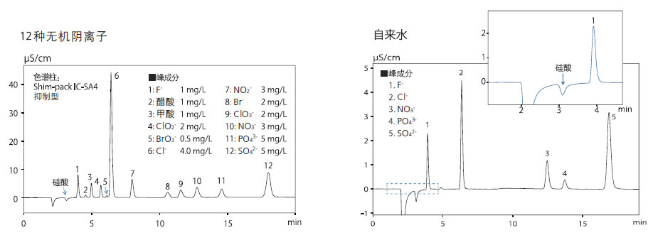 HIC-ESP离子色谱仪(图10)