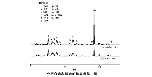 大米所含的伽马氨基丁酸