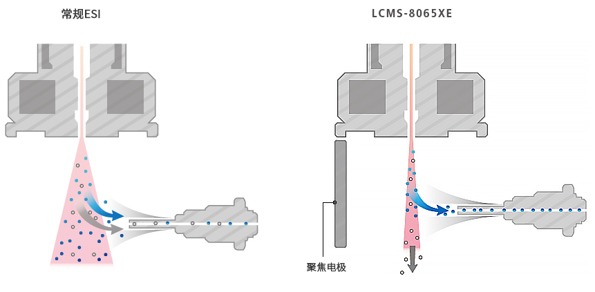 LCMS-8065XE 液相色谱质谱联用仪的特点(图1)